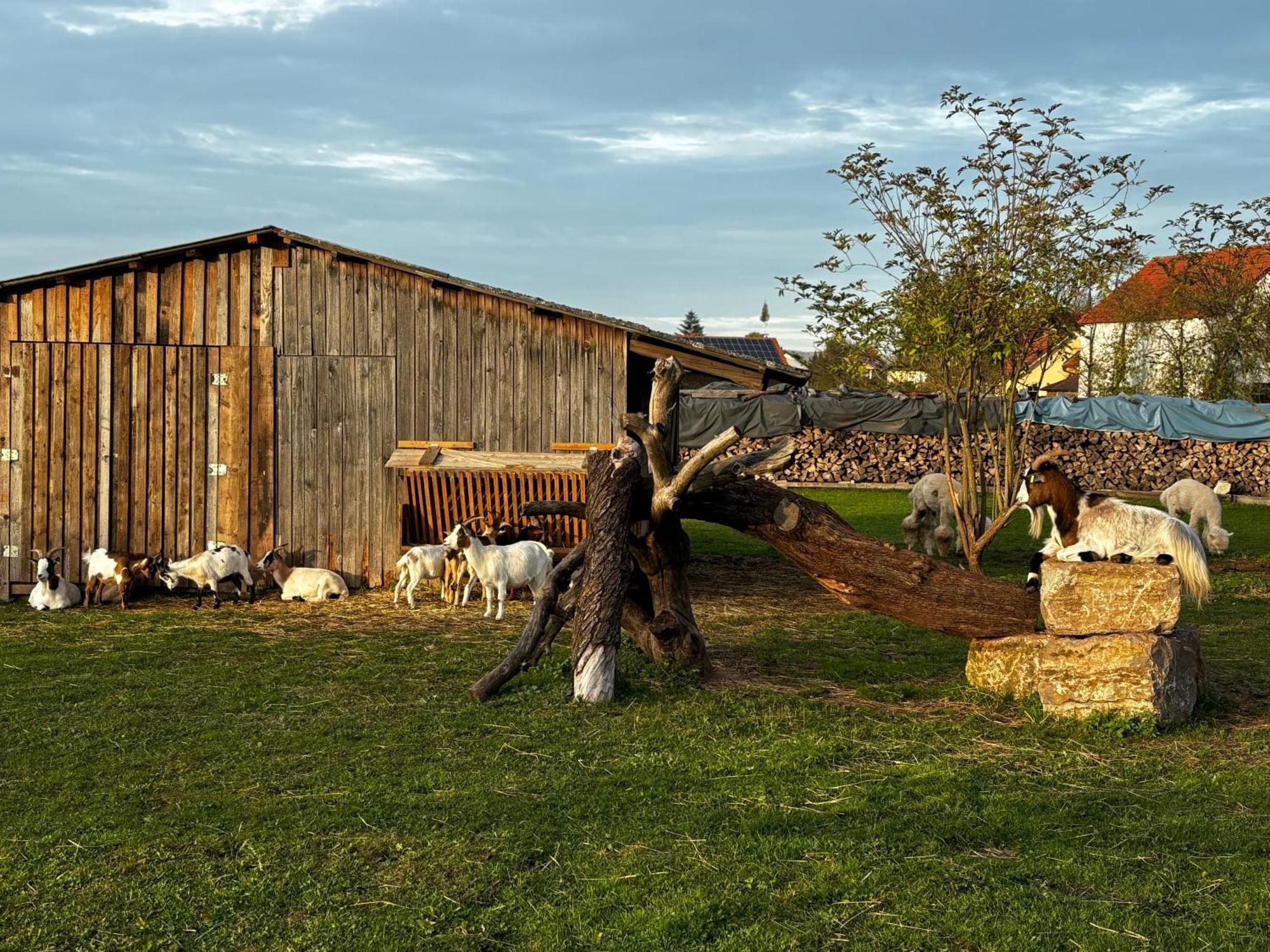 Ferienwohnung Peters ฮึนเฟลด์ ภายนอก รูปภาพ