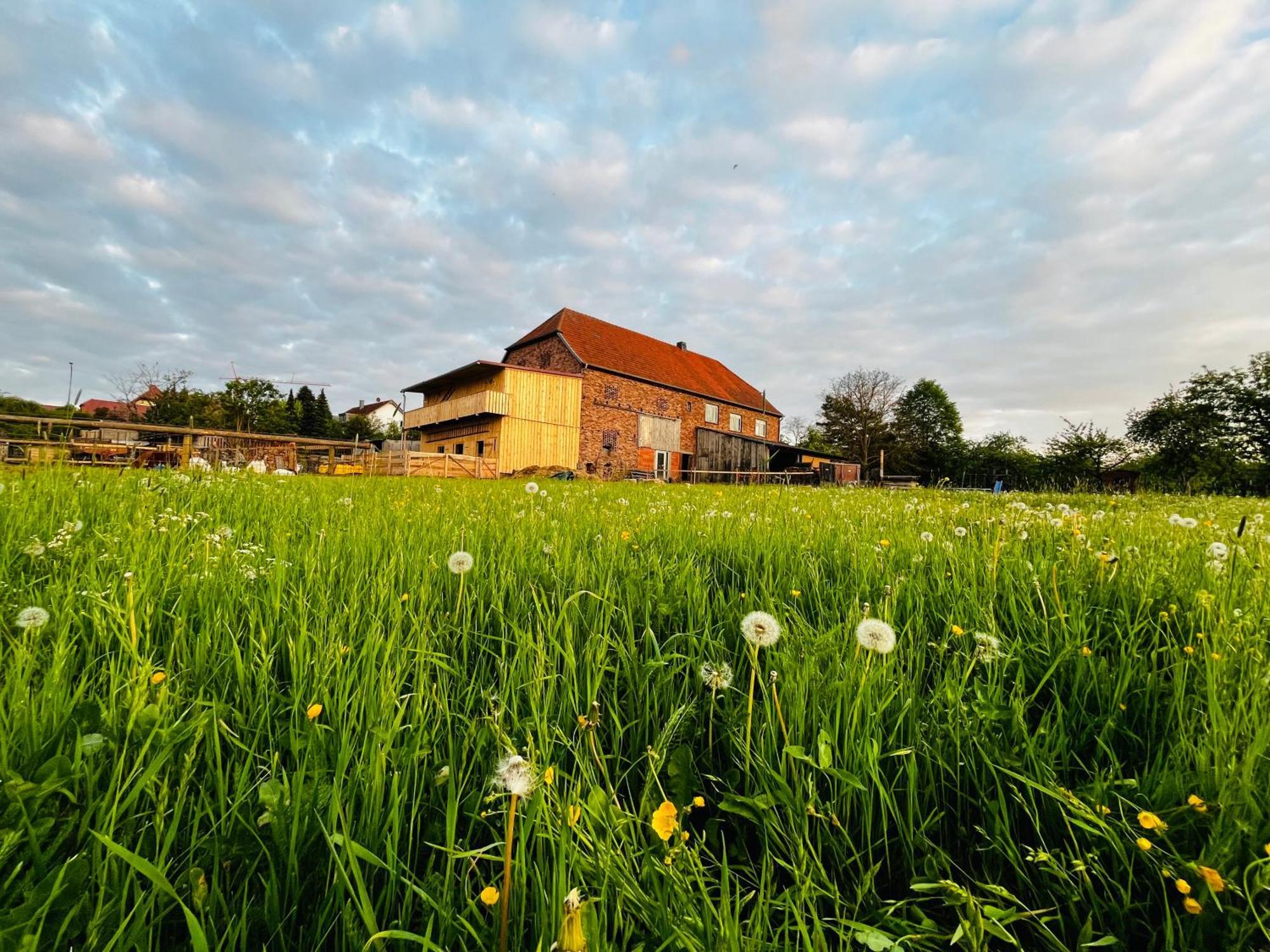 Ferienwohnung Peters ฮึนเฟลด์ ภายนอก รูปภาพ